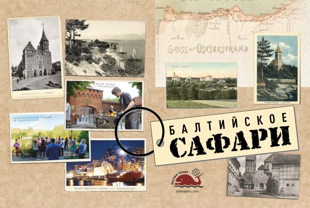 Балтийское сафари